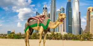 Comprare casa a Dubai marina